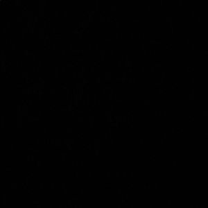 Meet your Posher, Ashlyn